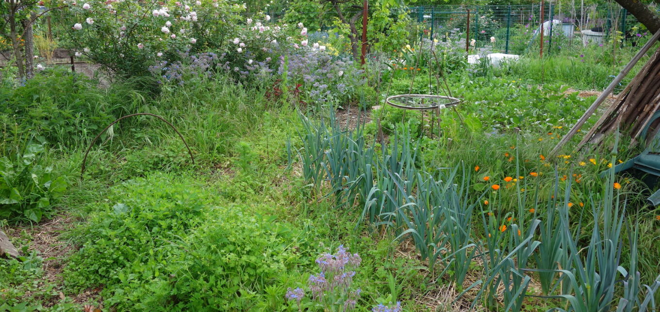 How to Start Gardening Groups Near Me – Mother Earth News - Vimarsana News